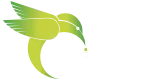 Birdni
