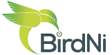 Birdni