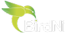 Birdni